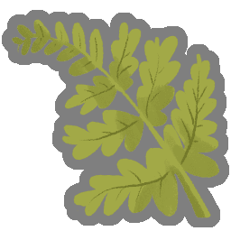 Delicate Frond